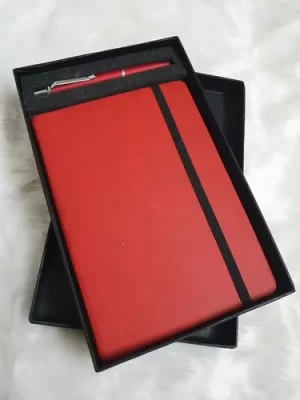 DD-003 Diary With Pen Set