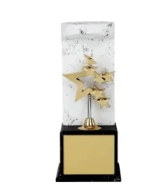 DW 9331 Wooden Star Award Trophy
