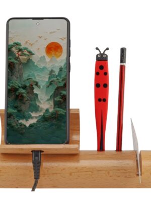 Natural Wooden Bamboo Pen Stand: DW 7002